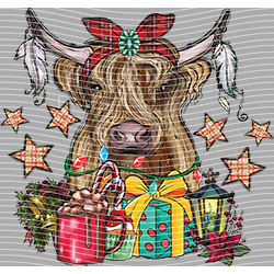 Cow-NIU 2552